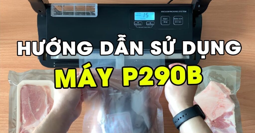 Máy Hút Chân Không P290B Chính Hãng